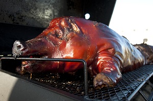 BBQ Pig