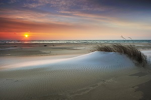 Sunset Sand