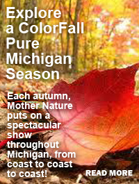 autumn in michigan leaf feature