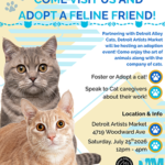 Cat Adoption Day with Detroit Alley Cats